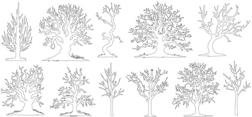 Fototapeta premium group of scary bare black trees without leaves