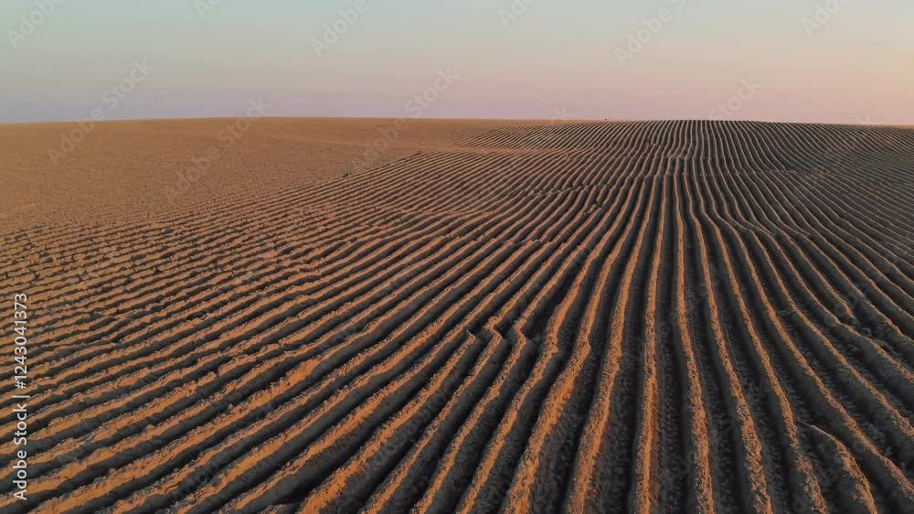 Poster expansive agricultural field with intricate patterns at sunset in the countryside