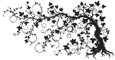 beautiful silhouette leaf tree vector