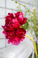 Peony flower on blue background and blue tiles in vase