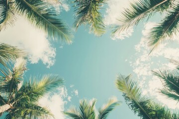 In Punta Cana, Dominican Republic, lies a picturesque beach with white sand, clear turquoise water, coconut palms, and a blue sky with fluffy clouds.