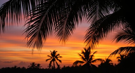 Fototapeta premium Tropical sunset with vibrant sky and silhouetted palm trees