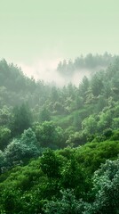 A serene, misty forest landscape showcasing lush green foliage and towering trees, creating a tranquil atmosphere that invites calm and reflection.