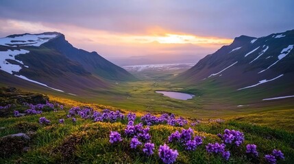 Fototapeta premium Purple Wildflowers in Mountain Valley at Sunset