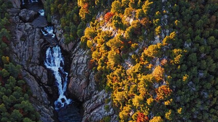 Cascading waterfall rushing between rugged mountain rocks, enveloped by vibrant golden autumn leaves, revealing dramatic wilderness scenery during seasonal color shift