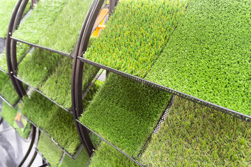 Samples of artificial lawn on the showcase