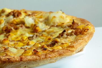 Closeup shot of a tasty Italian pizza with meat and vegetables on a white plate