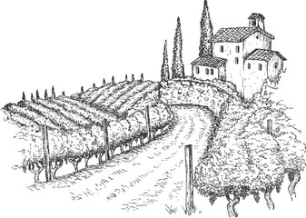 Hand draw vineyard tuscany landscape farm field in monochrome sketch style. Vintage panoramic vector illustration.