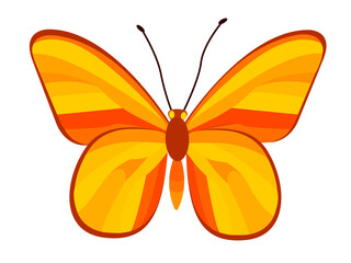 Bright yellow and orange butterfly vector illustration representing spring and summer beauty in nature