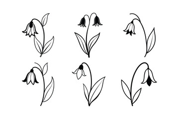 Bluebell (Hyacinthoides non-scripta) line art vector illustration