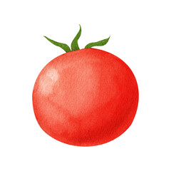 A vibrant cherry tomato with a natural organic feel, painted in watercolor. Great for health food branding, fresh produce advertising, eco-friendly packaging, and vegan food guides