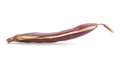 Sprouting bean seed isolated in nature early plant growth close-up perspective on botanical development