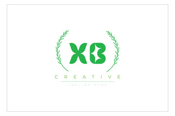XB letters eco logo with leaf. Fresh nature and healthy leaf logo design.