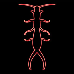 Neon earwig red color vector illustration image flat style