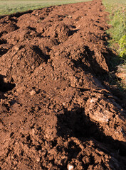 terre labourée