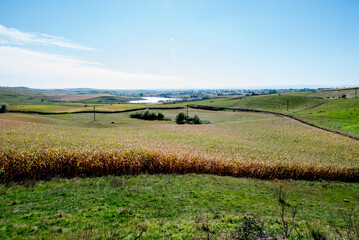 rural landscape with a river