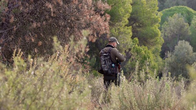 Hunter walking and aiming with shotgun in the woods