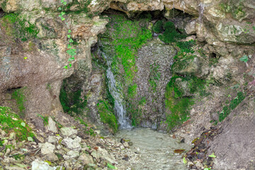 Small natural spring emerging from a rocky hillside, with water flowing out of crevice covered in green moss. Surrounding area is composed of rocks and soil, with some vegetation growing around spring