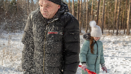 Little girls play with snow with her grandfather in winter forest