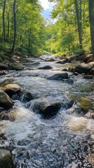 Obraz premium Crystal-clear mountain stream cascading over smooth rocks.