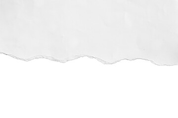 Realistic torn paper edge. Ripped white paper mockup isolated on transparent background. Piece of...