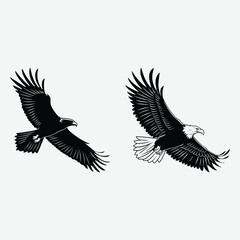  Soaring eagle, silhouette image vector art and illustration    
