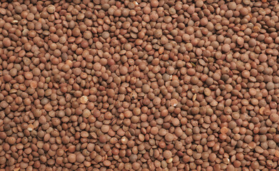 Texture of brown lentils, healthy food