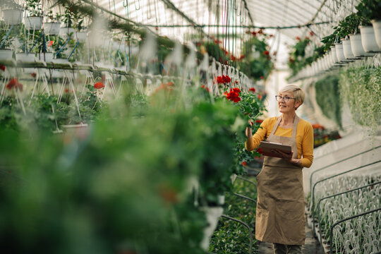 Old botanist with checklist at hothouse checking on her vertical garden - Powered by Adobe