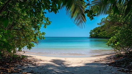 Tranquil tropical beach view framed by lush greenery under a clear blue sky, inviting tranquility and relaxation.