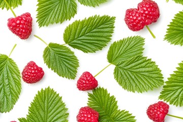 Fresh Raspberries & Leaves: Summer Berries