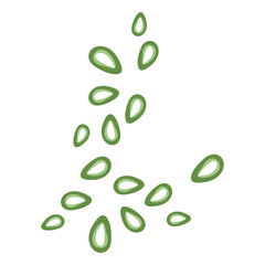 sliced of fresh spring onion