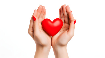 Female hands holding red heart isolated on white background. Love and Valentine's day concept.