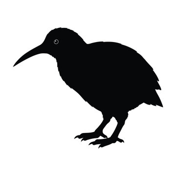 recommend clip art: Kiwi bird silhouette.