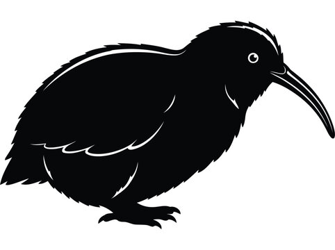 recommend clip art: Kiwi bird silhouette vector illustration white background.