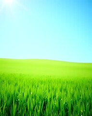 Endless Green Fields: A Breathtaking View Under a Clear Blue Sky