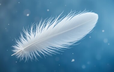 Obraz premium A close-up of a single white bird feather falling against a blue background