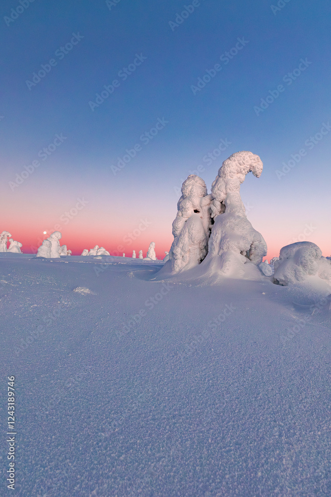 Wall mural winter landscape with snow