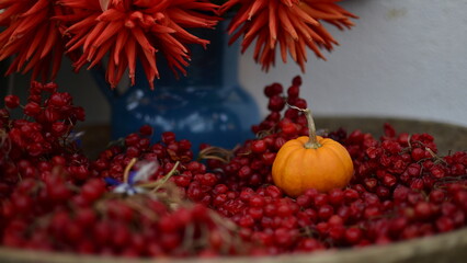 autumn still life with red berries