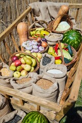 Bags and baskets are filled with various vegetables. Autumn harvest