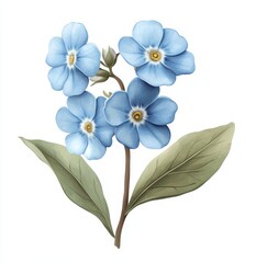 Fototapeta premium Forget-me-nots, floral design, white background, spring, digital illustration, greeting card