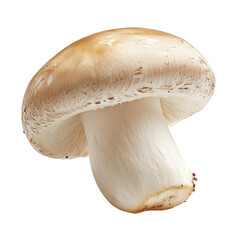 A fresh mushroom with a rounded cap and a smooth, pale stem, showcasing its natural texture and shape.