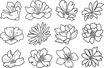 Set of different line art flowers. Hand drawn botanical vector set. Trendy floral wildflowers set.