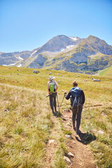 Fototapeta premium The Caucasian Biosphere Reserve. Tourism and outdoor recreation. A group of tourists goes hiking