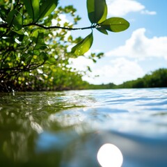 Naklejka premium Serene view of calm water reflecting lush greenery under a bright sky, showcasing the tranquil beauty of nature.