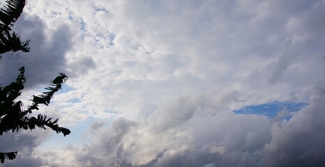 cloudy afternoon sky with black clouds and silhouettes of banana leaves