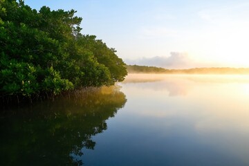 Fototapeta premium A calm lake with a tree in the background. The water is still and the sky is blue