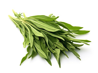 Fototapeta premium Fresh Green Sage Leaves Bunch Isolated on White Background
