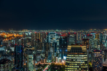 Tokyo cityscape at magic hour.