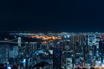 Fototapeta premium Tokyo cityscape at magic hour.