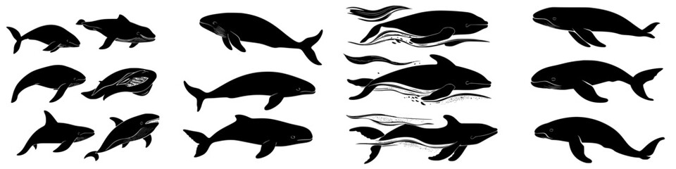 Various silhouettes of dolphins and whales in motion captured in an artistic design